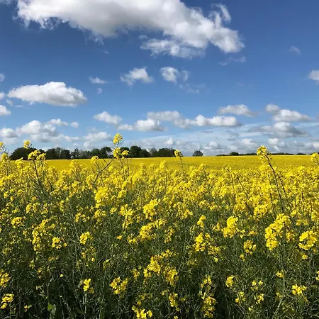 Sommerby Garden Apartmán